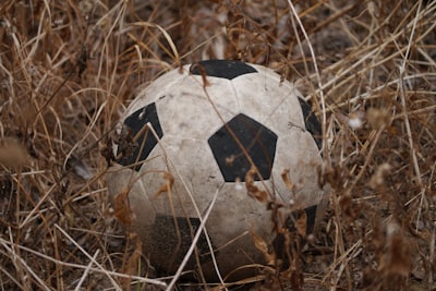 مباراةالهلالوصنداونزمباشرمواجهةناريةفيدوريأبطالآسيا